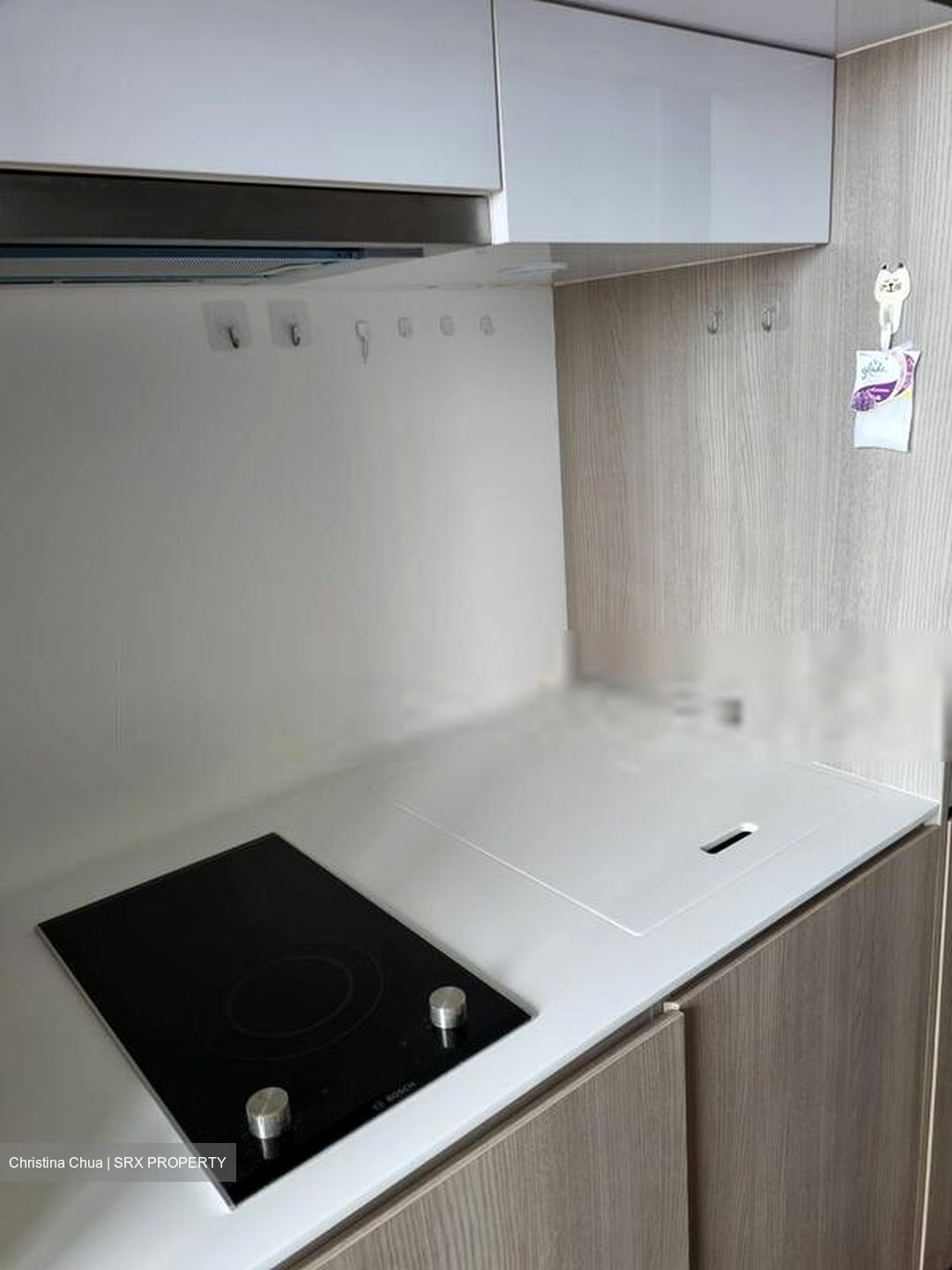The Tembusu (D19), Condominium #627952731